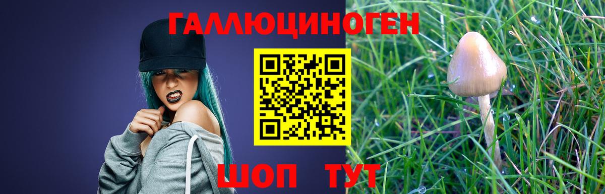 Брянск  Галлюциногенные грибы GOLDEN TEACHER  Вход с VPN  Псилоцибиновые грибы Psilocybe 